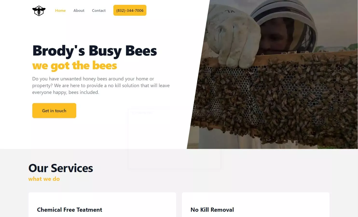 Brody's Busy Bees wepsite